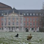 Trier, Palastgarten 07.04.2021