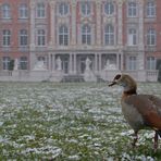 Trier, Palastgarten 07.04.2021