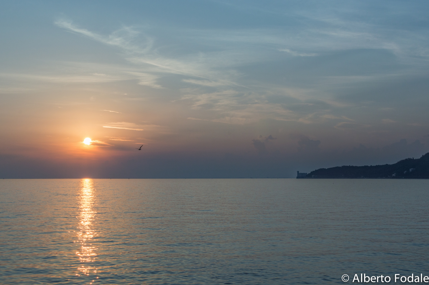 TRIESTE AGOSTO 2014