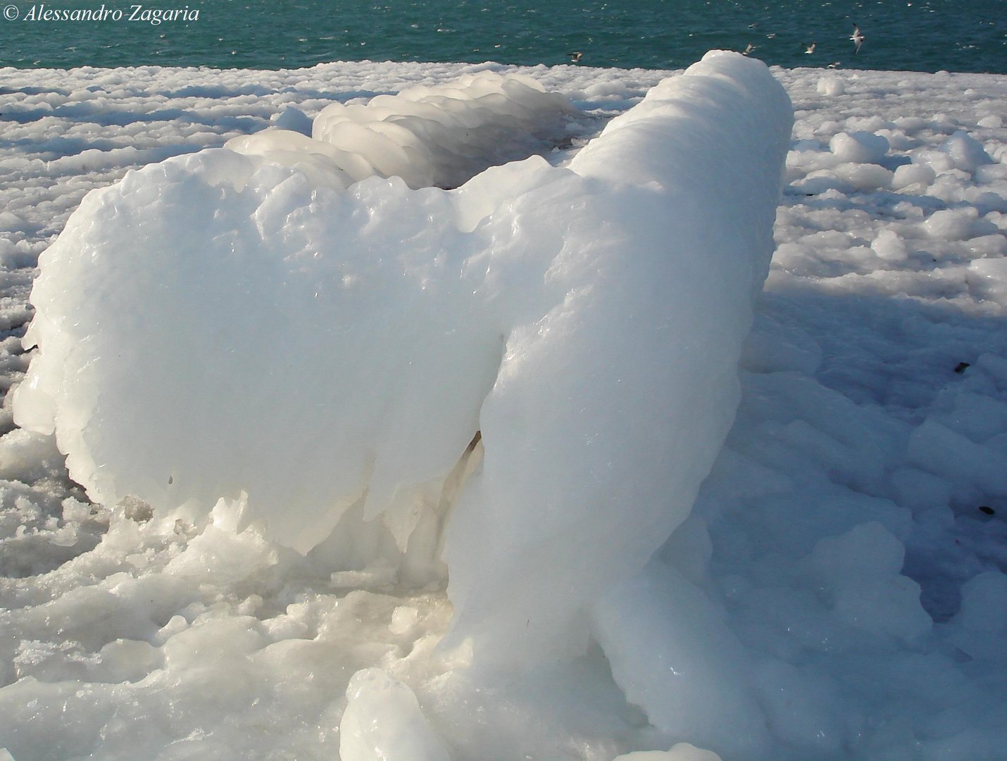 TRIESTE FEBBRAIO 2012 BORA A 150 KM. ORARI CON -8º C E -20º C DI PERCEZIONE