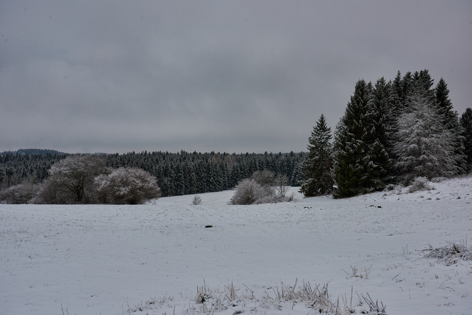 Trieste Winterlandschaft 