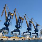 Triestin cranes