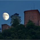 Trifels