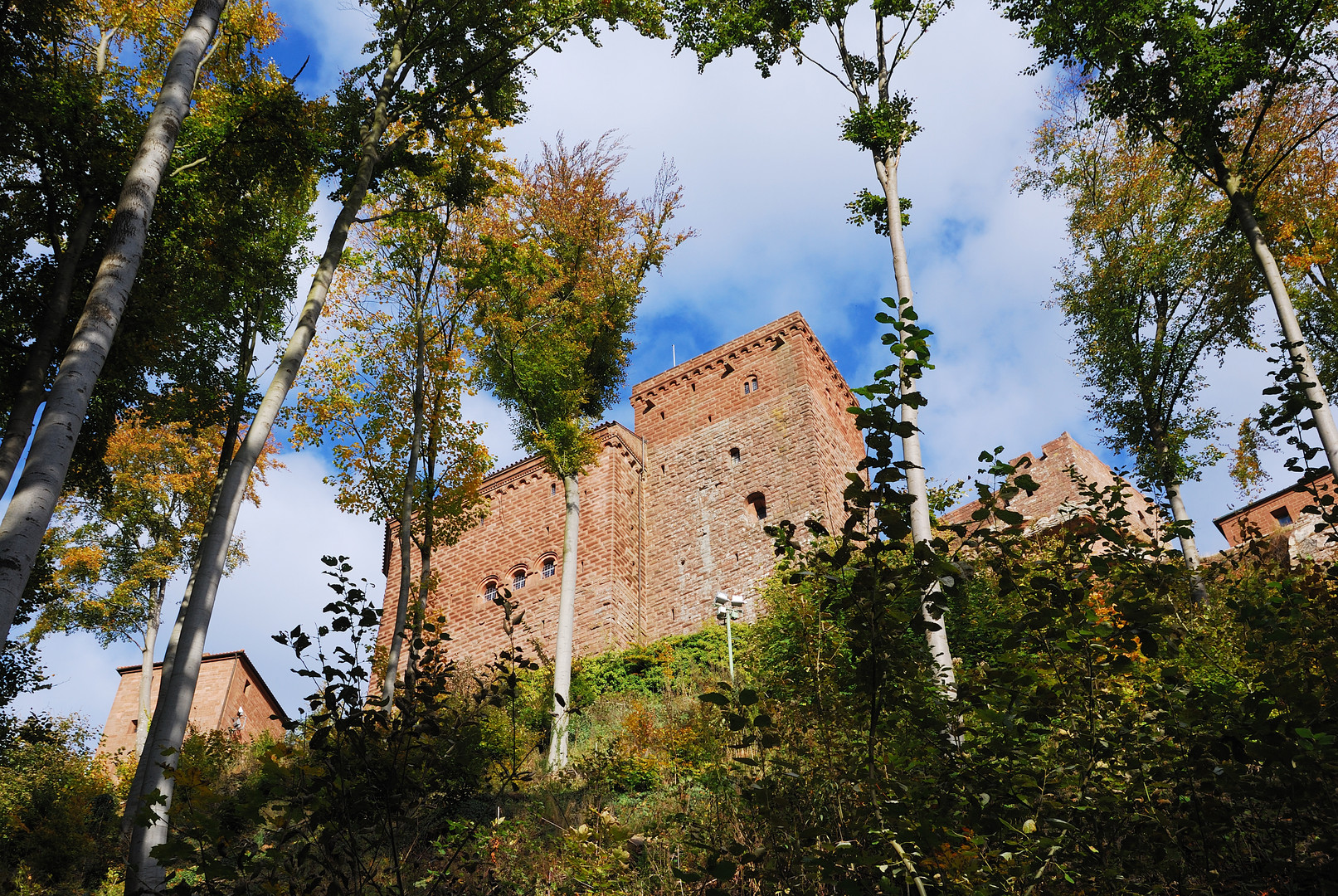 Trifels