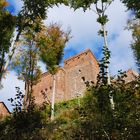 Trifels