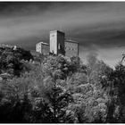 Trifels ...