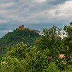 Trifels