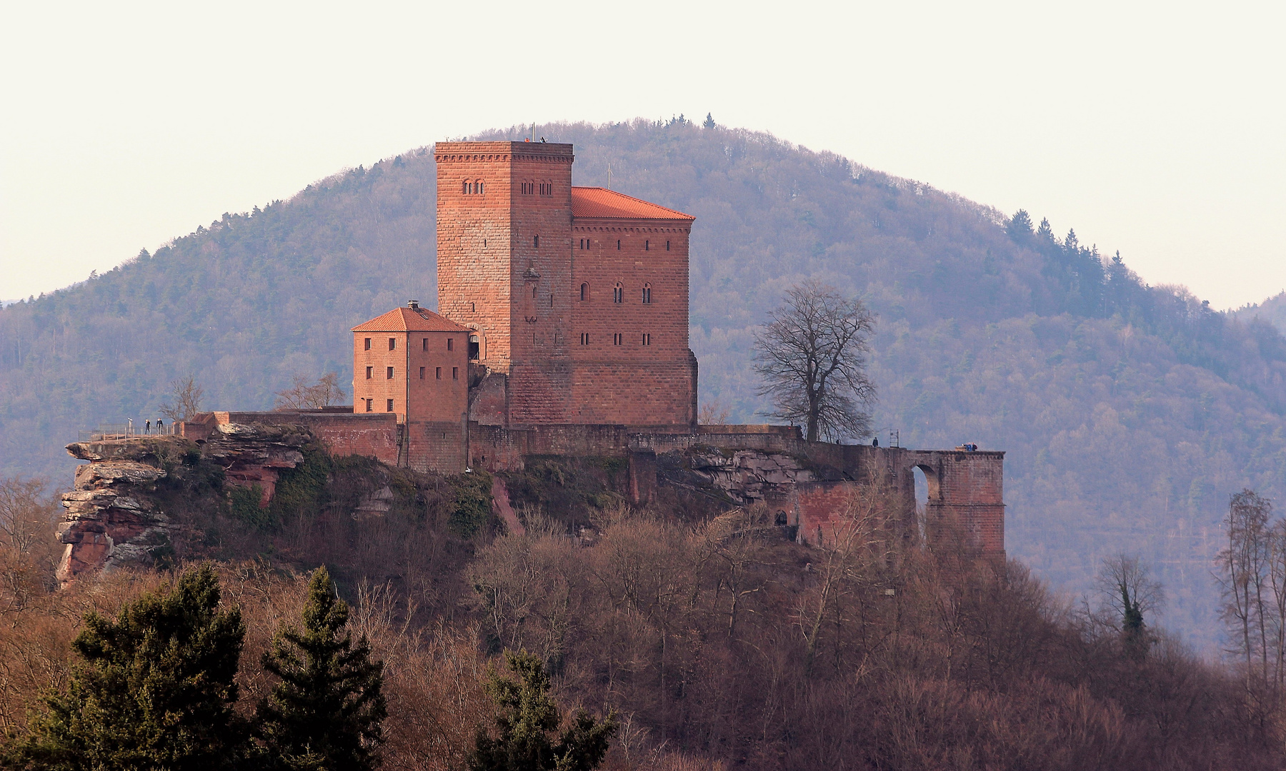 Trifels