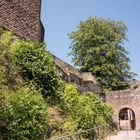 Trifels