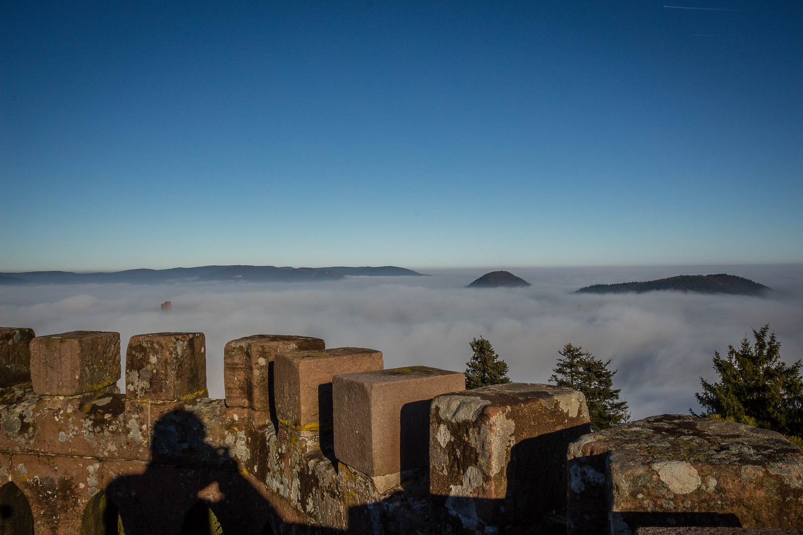 Trifels im Nebelmeer