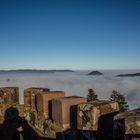 Trifels im Nebelmeer