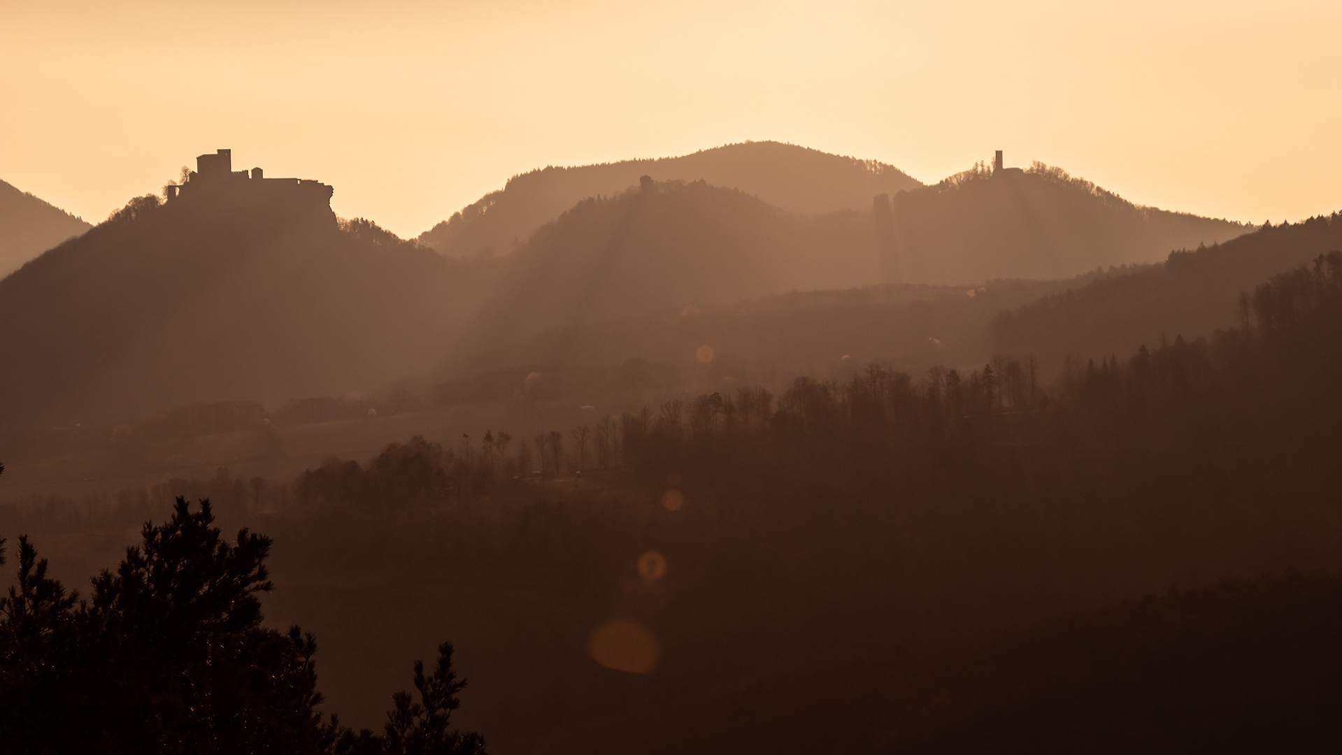 Trifels im Sonnenaufgang.