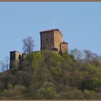 Trifels im warmen Abendlicht