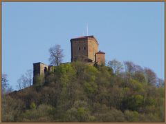 Trifels im warmen Abendlicht