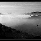 Trifels / Pfalz im Nebel