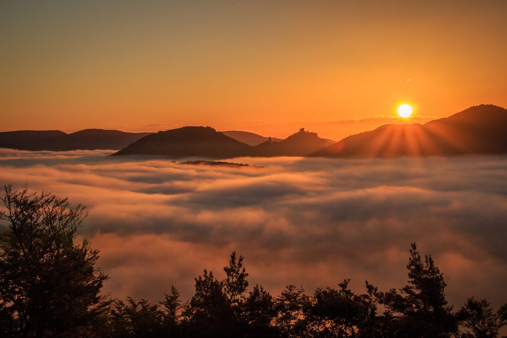 Trifels vom 4-Burgen-Blick