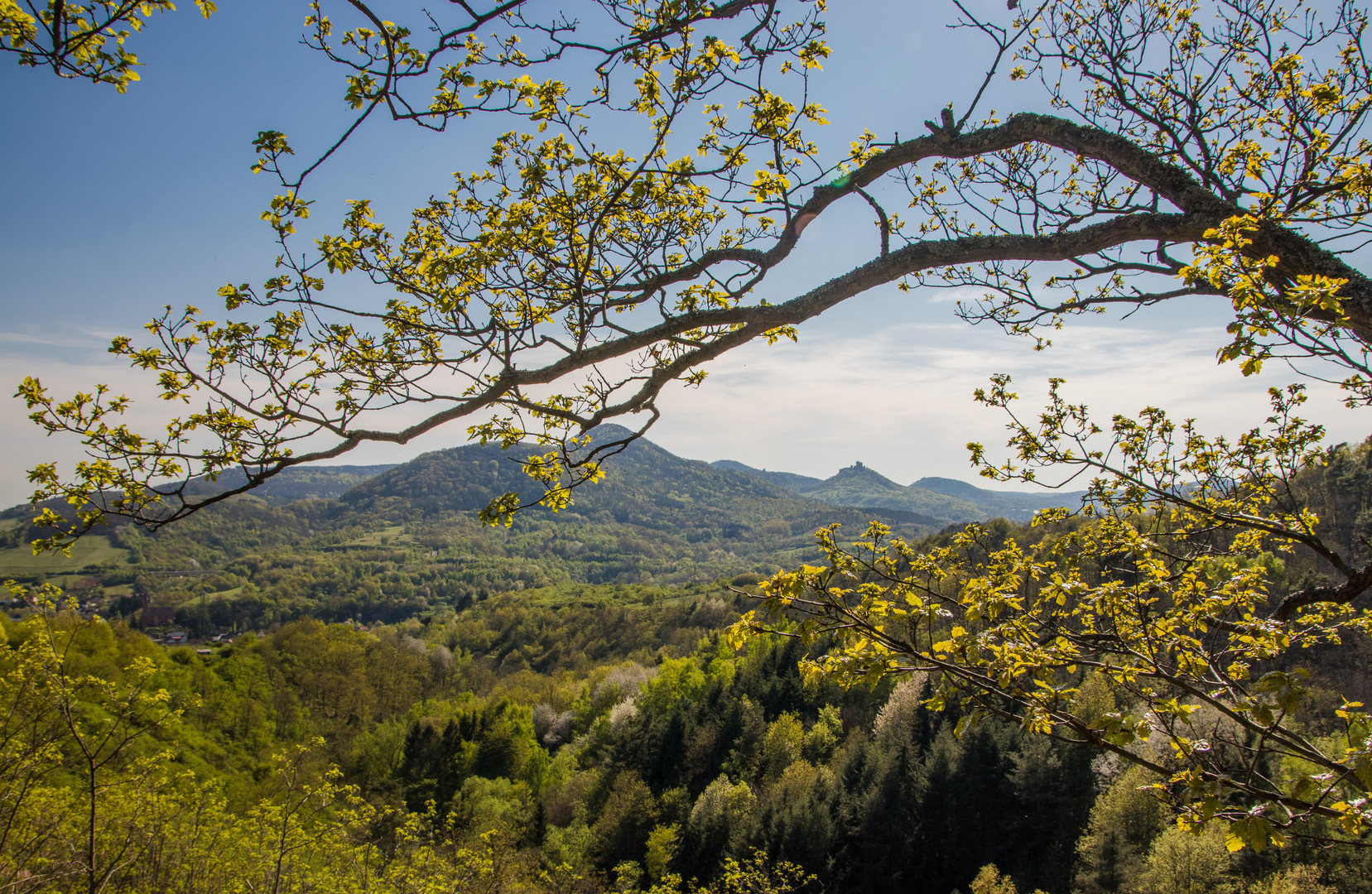 Trifelsblick