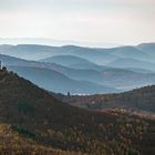 Trifelsblick mit Anebos und Münz