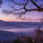 Trifelsland zur blauen Stunde