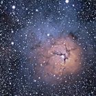 Trifid-Nebel M20 mit verdampfenden Gas-Globulen