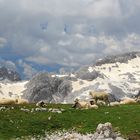 Triglav Nationalpark, Slowenien