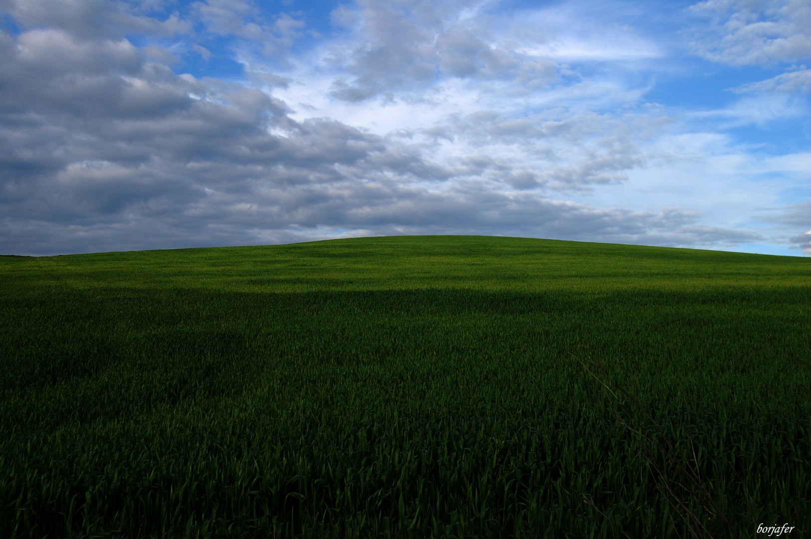 Trigo y Cielo