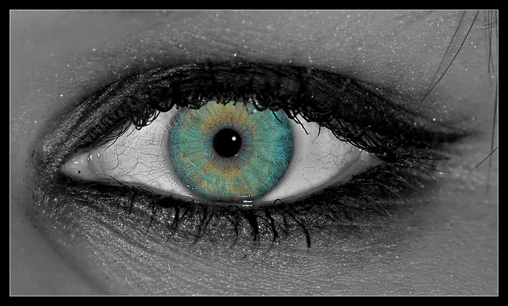 Triinu's Eye
