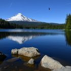 trillium lake eagle 2