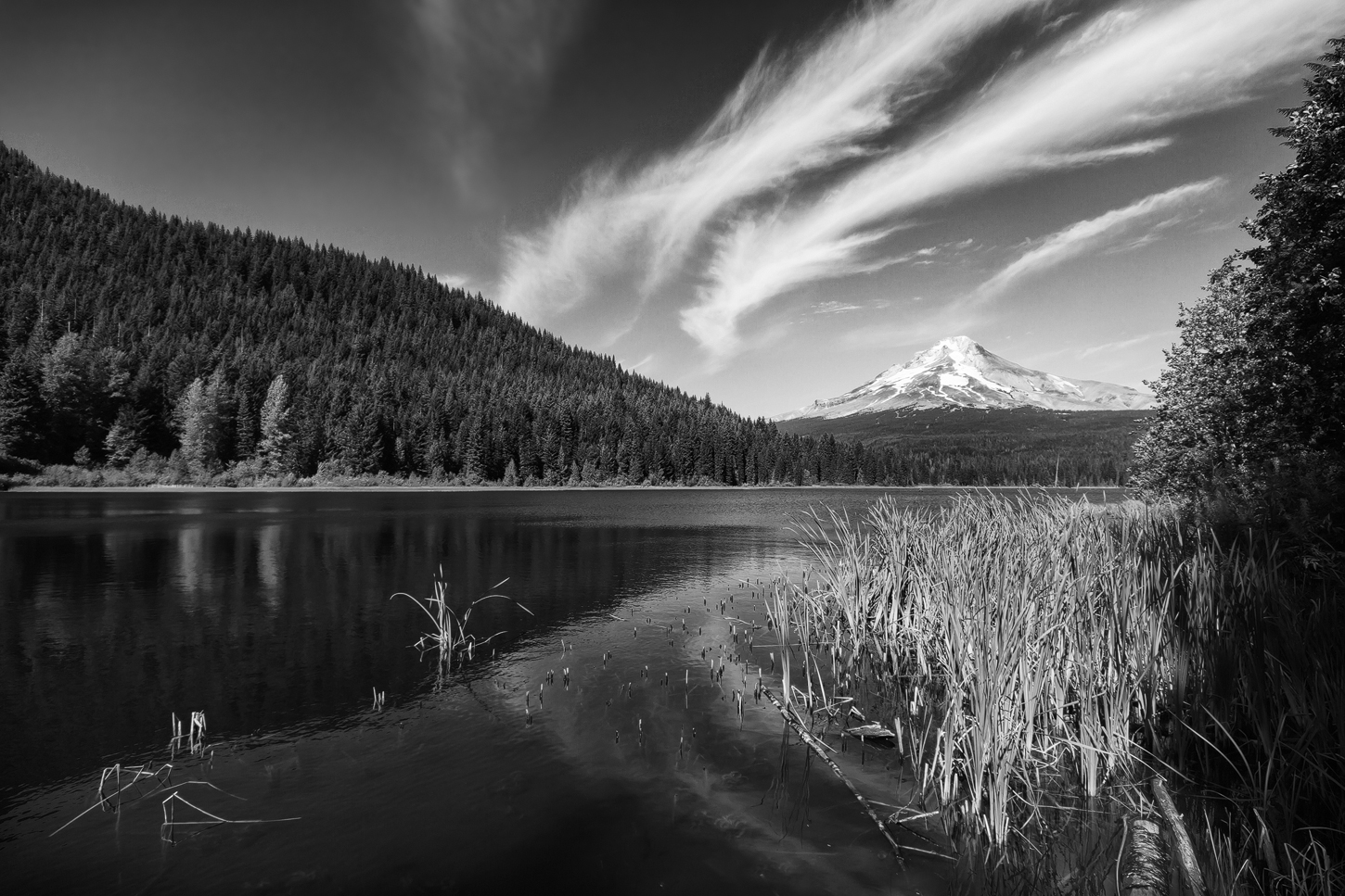 Trillium Lake meets Mt. Hood