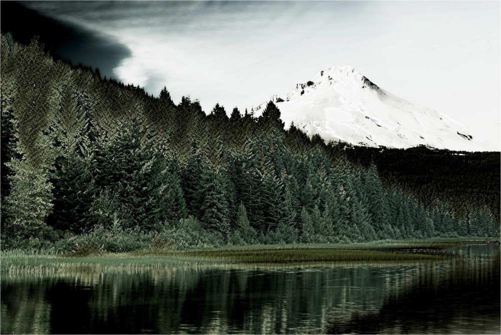 trillium lake mirrows mount hood