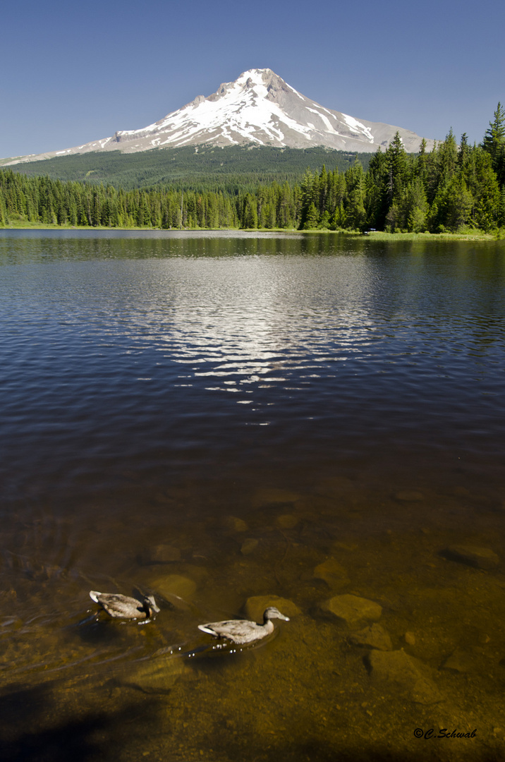 Trillium Lake, Oregon