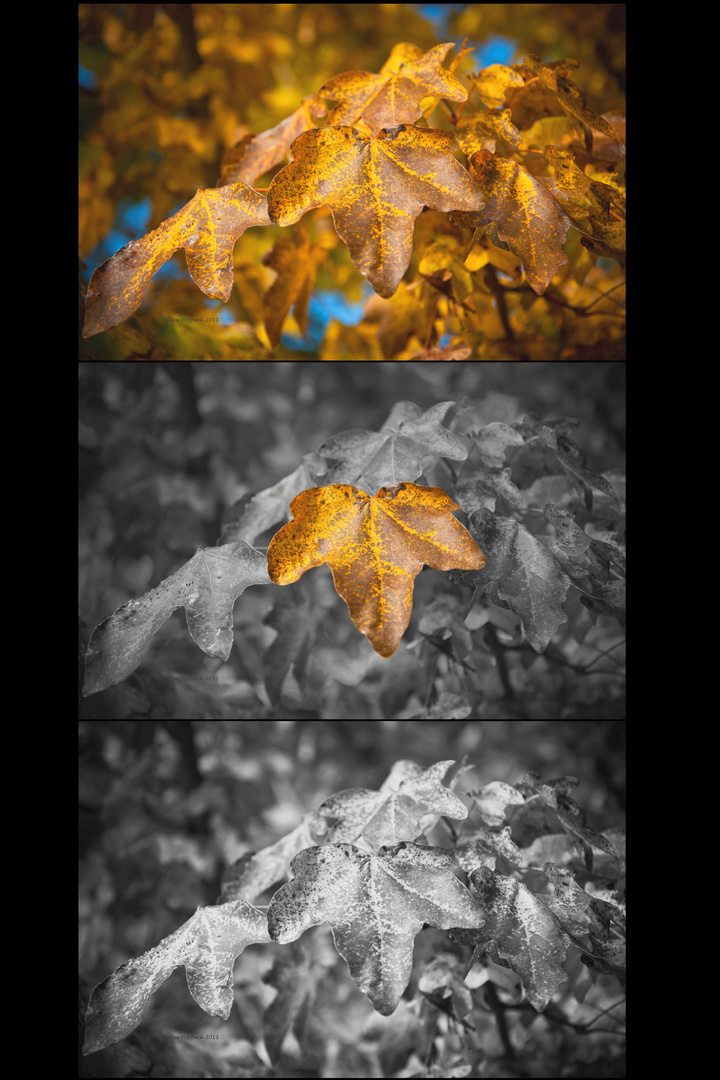 Trilogie des Herbstes