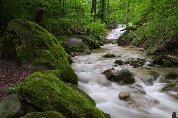 Peter Jenni Fotos & Bilder Fotograf