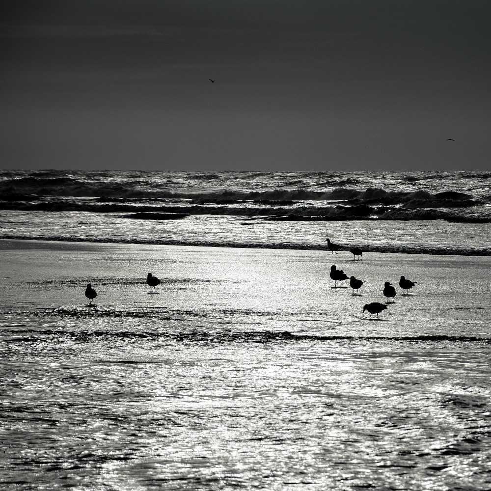 Trilogie vom Strand in SW