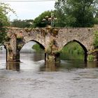 TRIM - Bridge