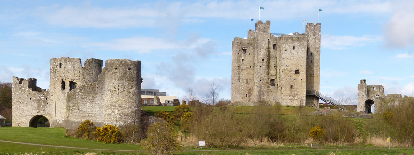 Trim Castle