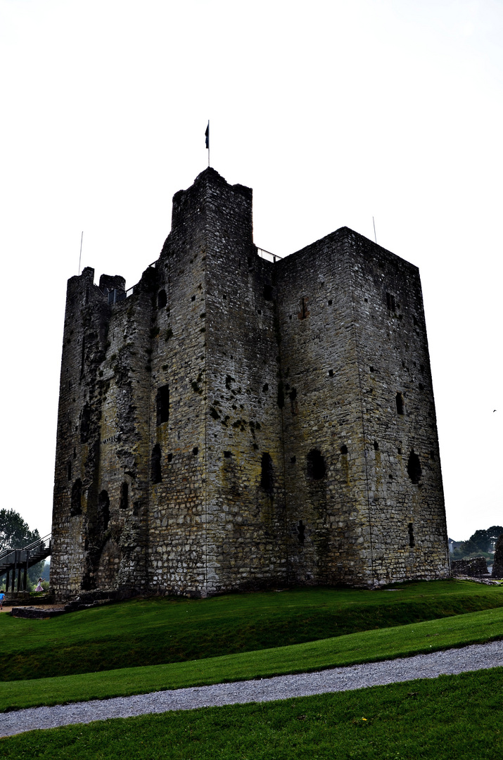 Trim Castle