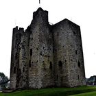 Trim Castle