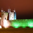 Trim Castle