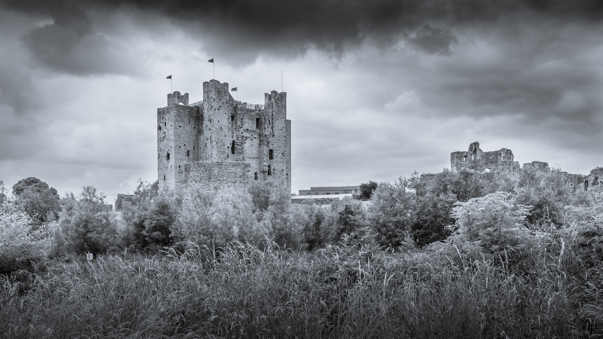 Trim Castle (irisch Caisleán Bhaile Átha Troim)