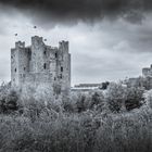 Trim Castle (irisch Caisleán Bhaile Átha Troim)