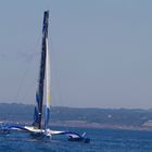 Trimaran