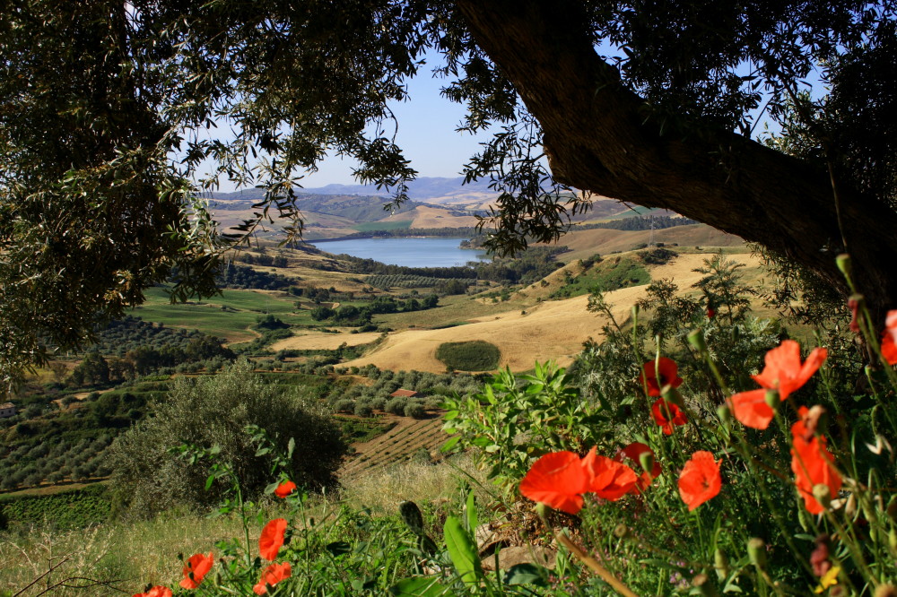 Trinacria in giugno