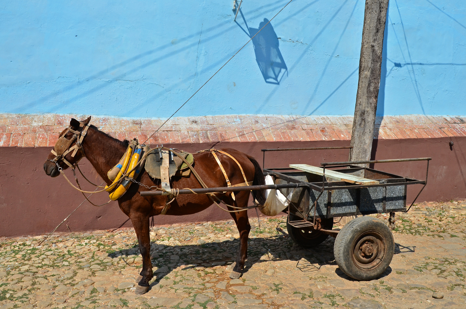 Trinidad Streetlife