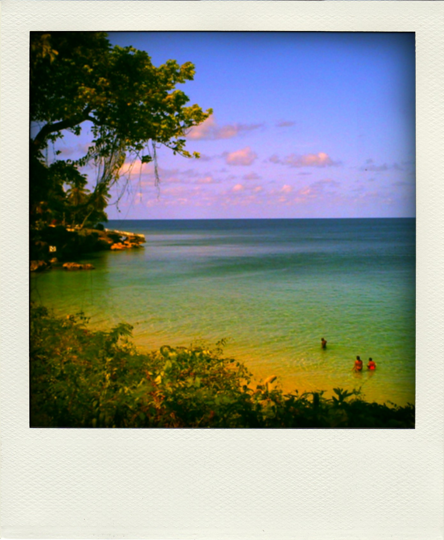 Trinidad & Tobago Harinezumi-Polaroid Series