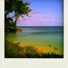 Trinidad & Tobago Harinezumi-Polaroid Series