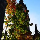 Trinitatiskirche Dresden