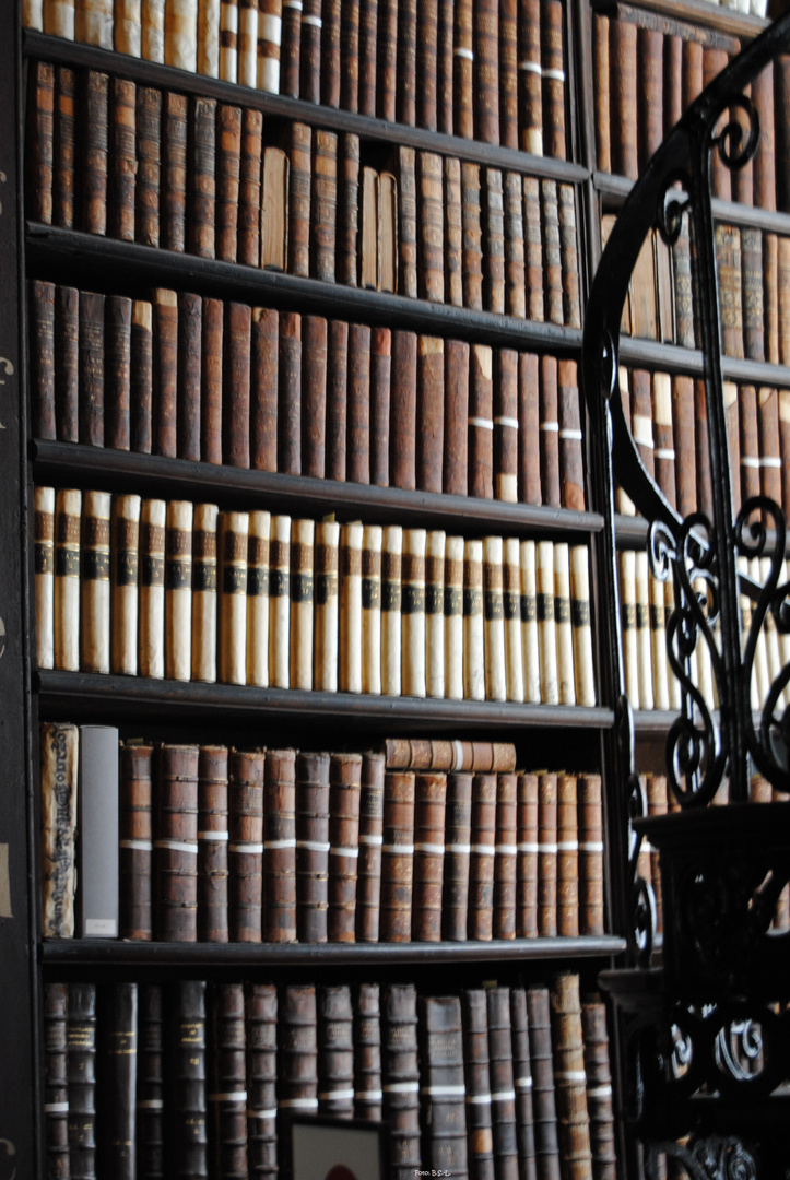 Trinity College Bibliothek Dublin