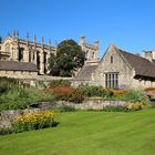 Trinity College, Oxford