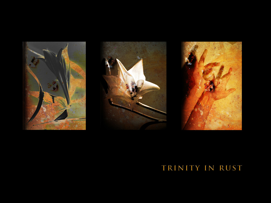 trinity in rust